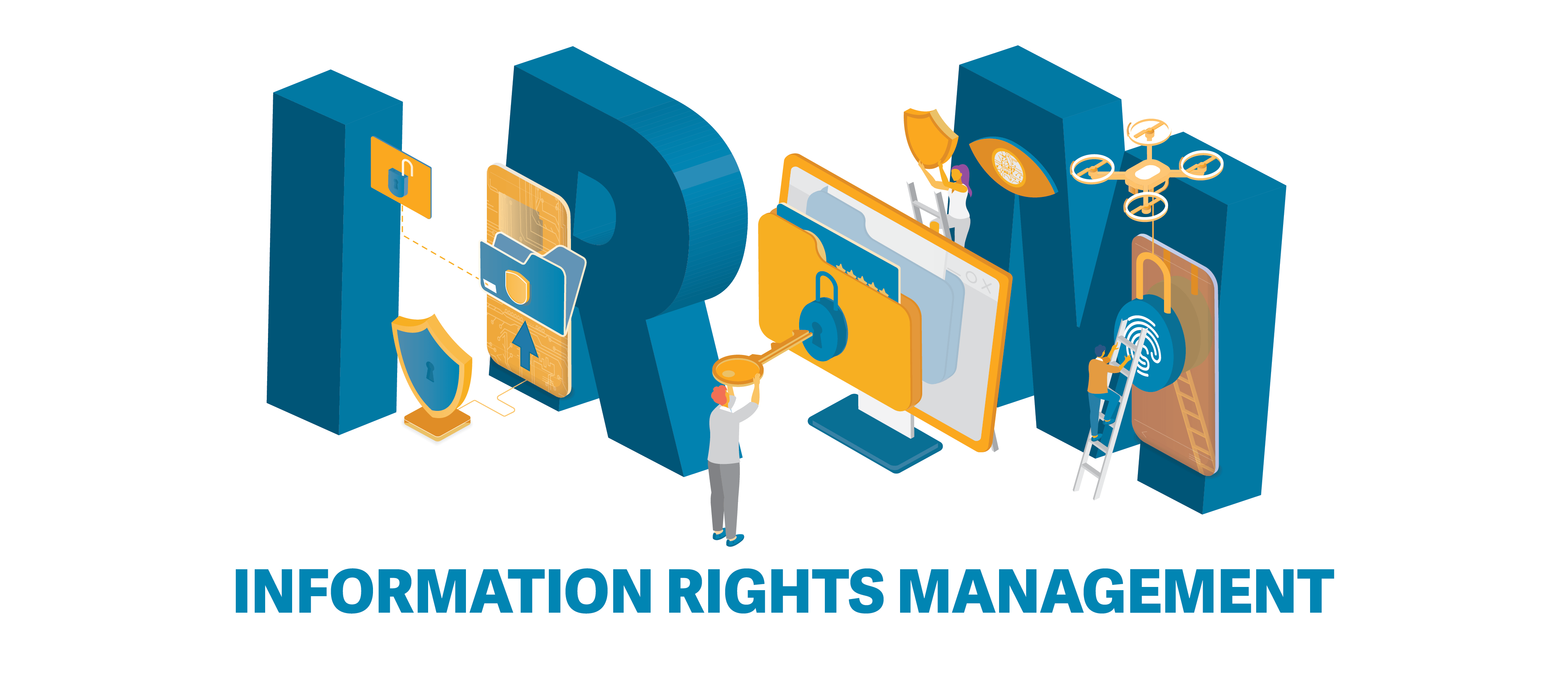 information rights management