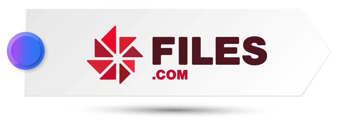 secure file sharing