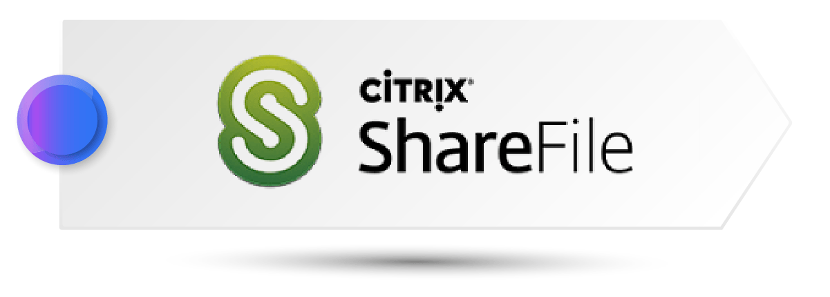 file sharing for business