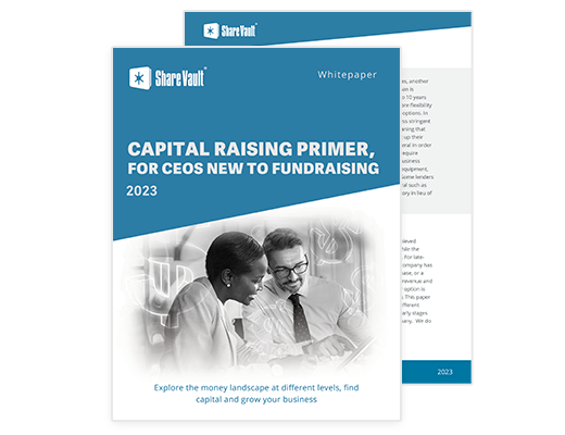 capital raising primer